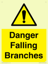 danger-falling-branches~